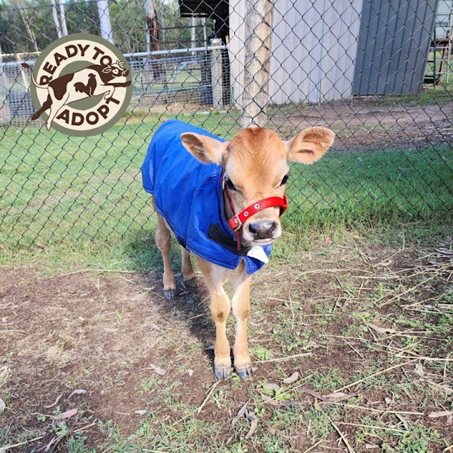 Photo of Moe, Hartley, And Harry