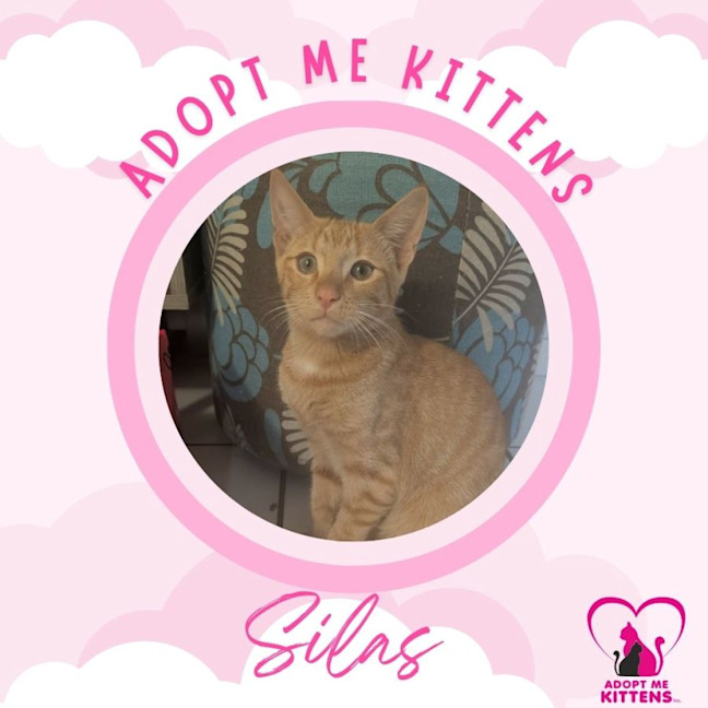 Photo of Silas
