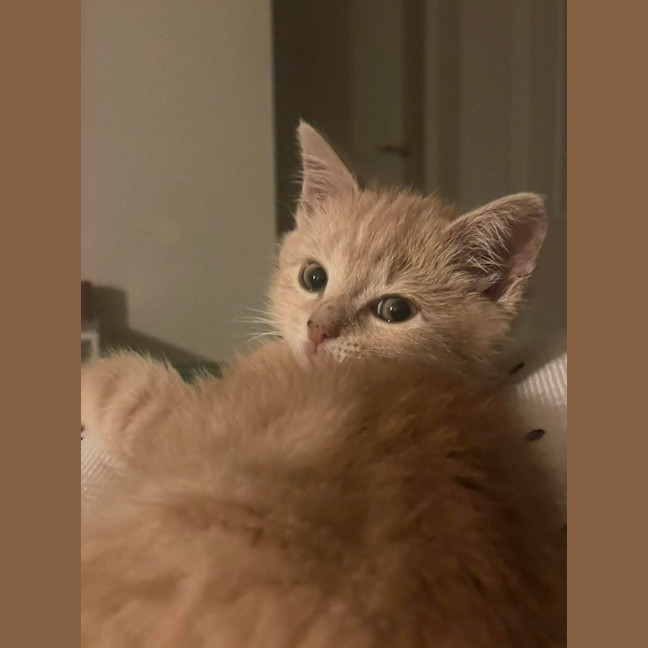 Photo of Sunny
