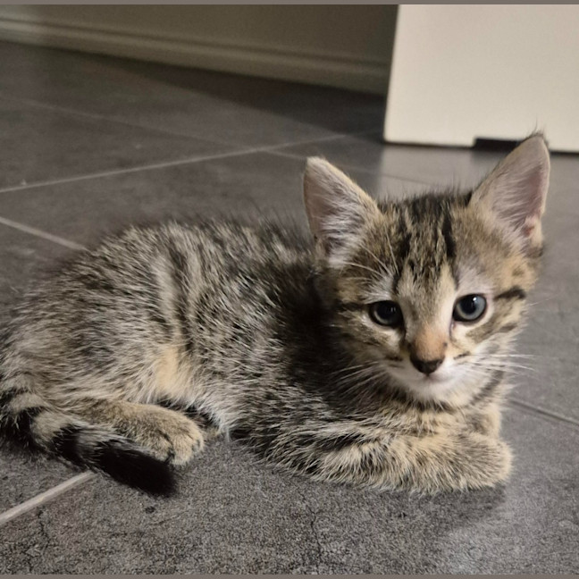 Photo of Winnie