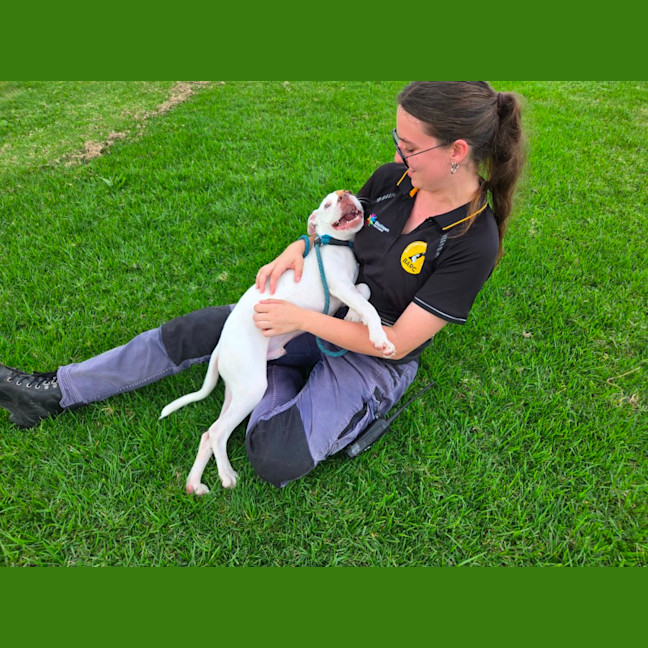 Photo of Pretzel Imp 719