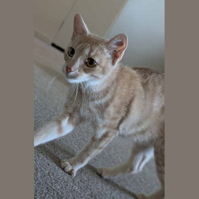 Photo of Ivy