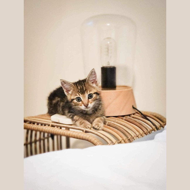 Photo of Miss Business (Bizzy) 