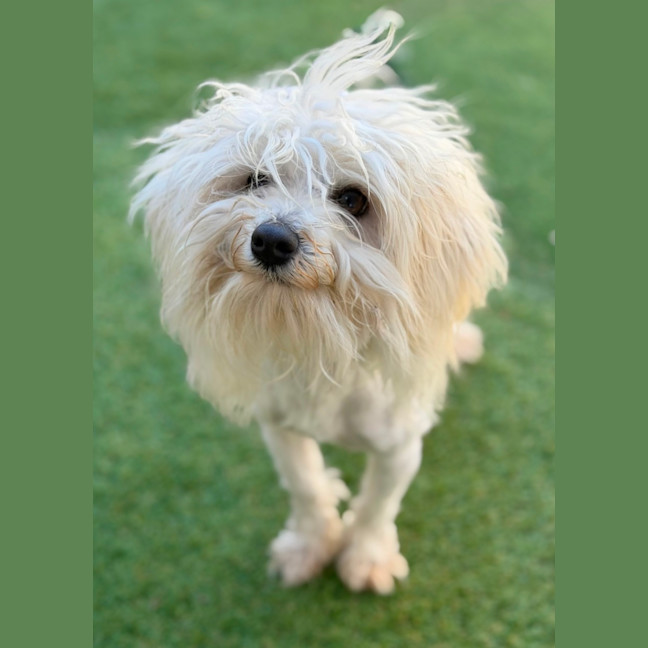 Photo of Quill