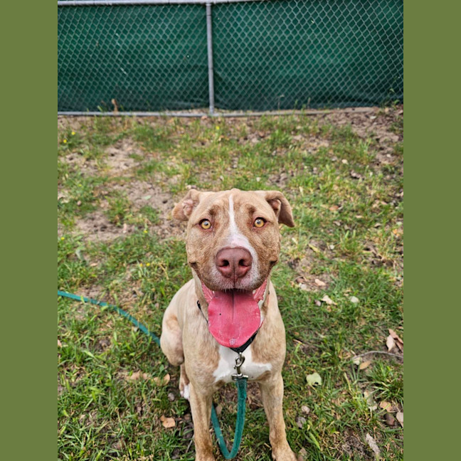 Photo of Clifford
