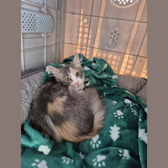 Photo of Ella! ❤️