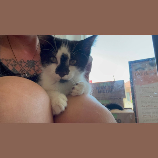 Photo of Pippa