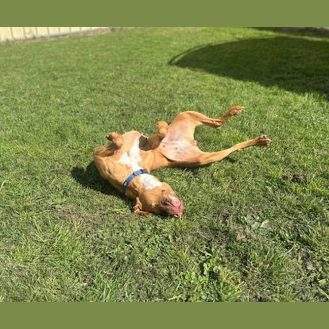 Photo of Bebe