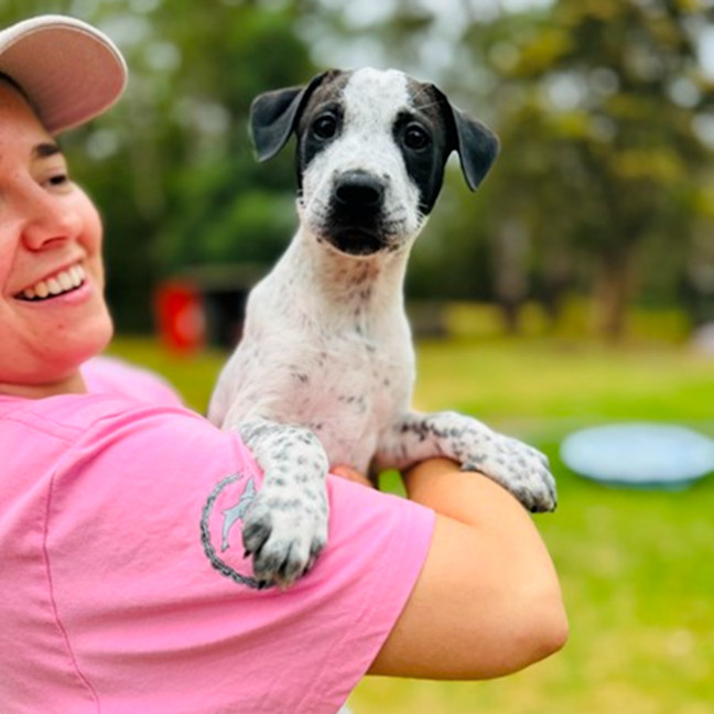 Photo of Benchwarmer