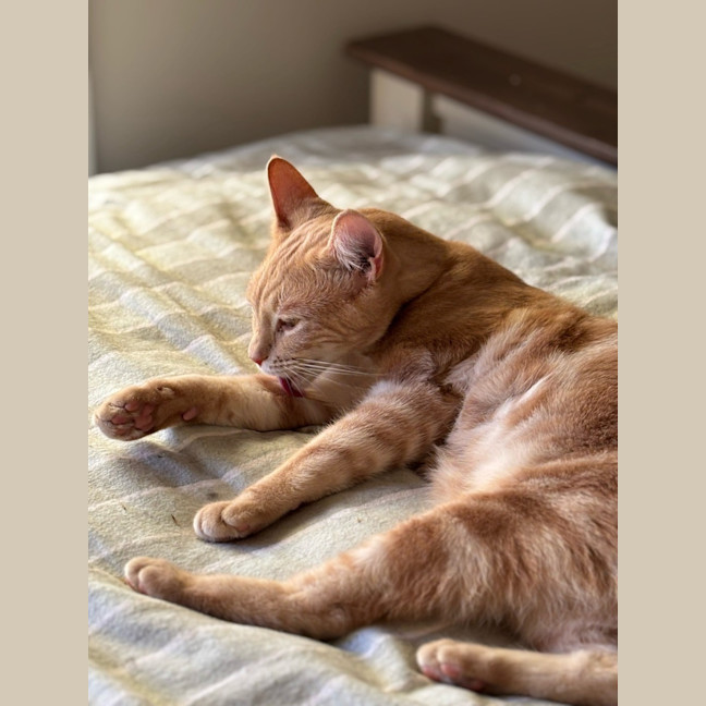Photo of George 