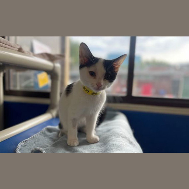 Photo of Teddy