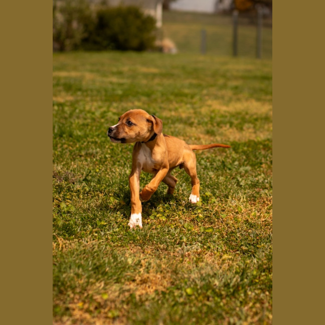 Photo of Maggie