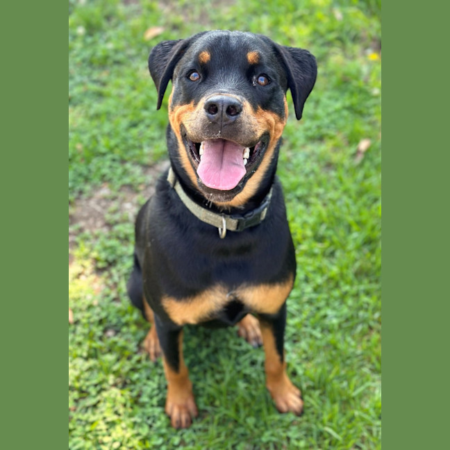 Photo of Finley