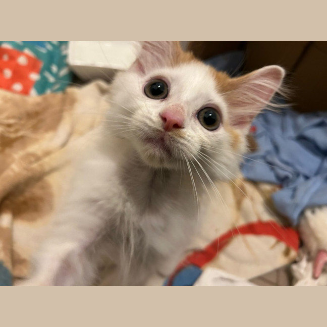 Photo of Bug