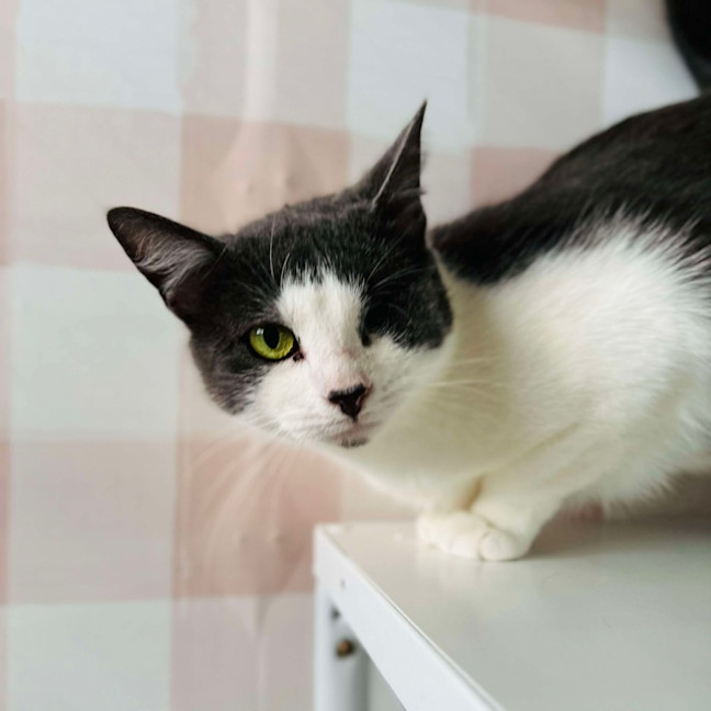 Photo of Bonnie   Located In Preston