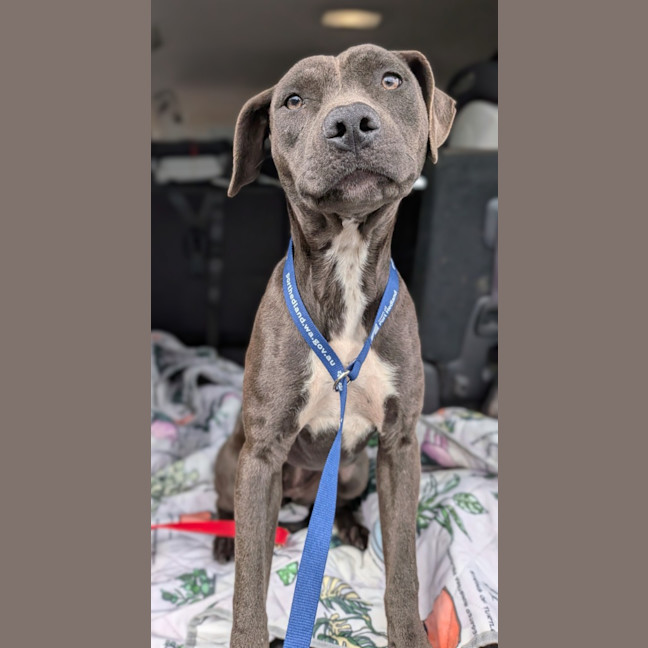 Photo of Bumble