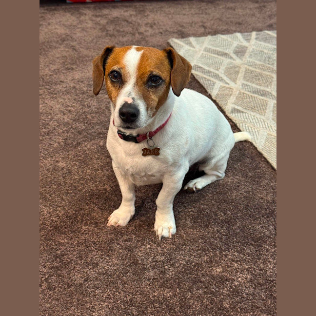 Photo of Jake