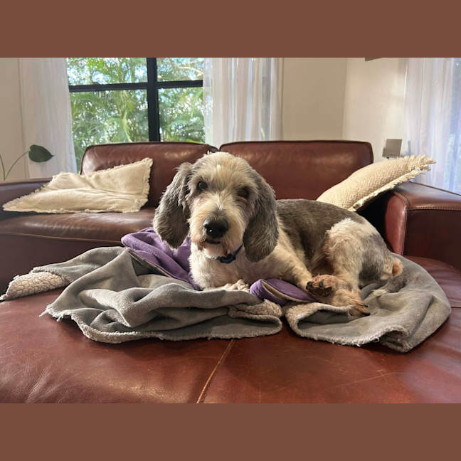 Photo of Rocky