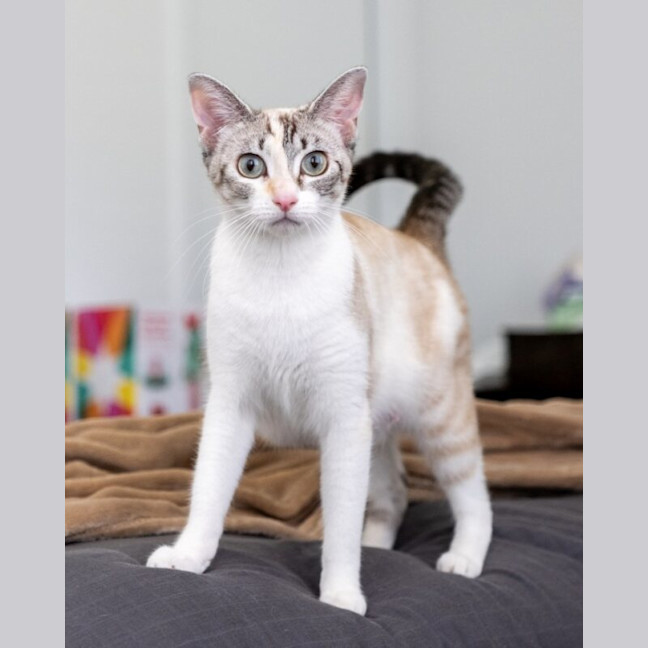 Photo of Hazel