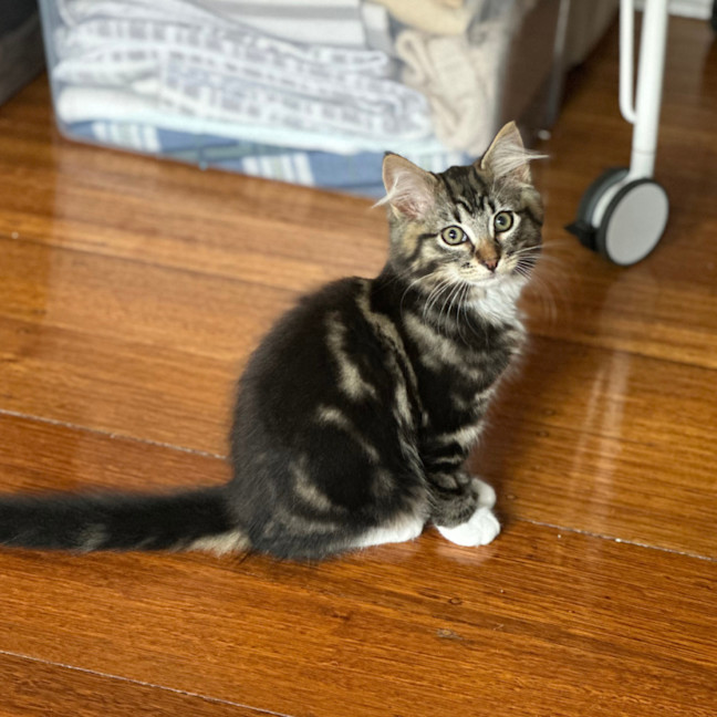 Photo of Edmond