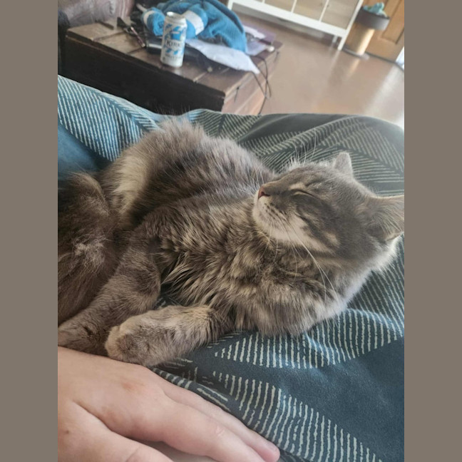 Photo of Stormy