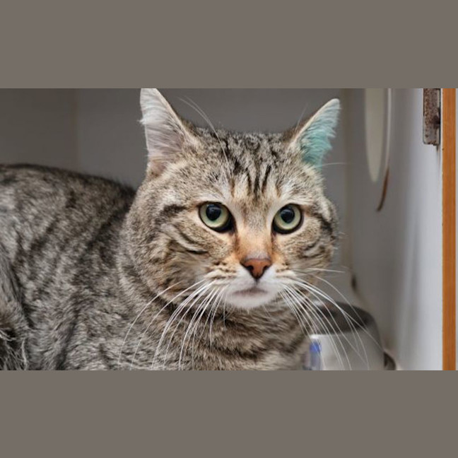 Photo of Freddy 