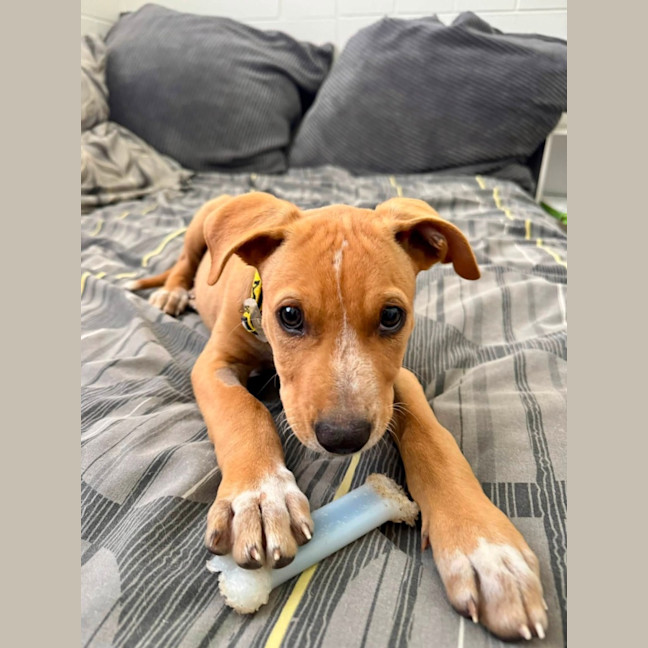 Photo of Axel