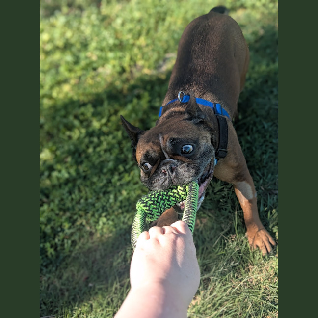 Photo of Axle