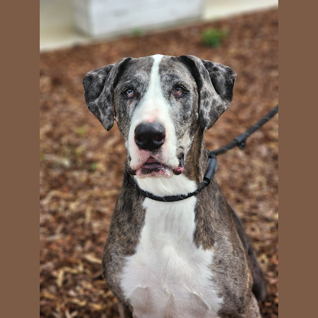 Photo of 🎭 Wednesday 6534 🎭