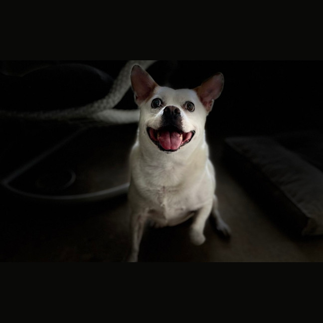 Photo of Walter And Abby