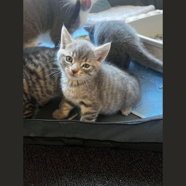 Photo of Spyro & Smokey