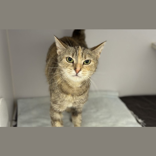 Photo of Mimi