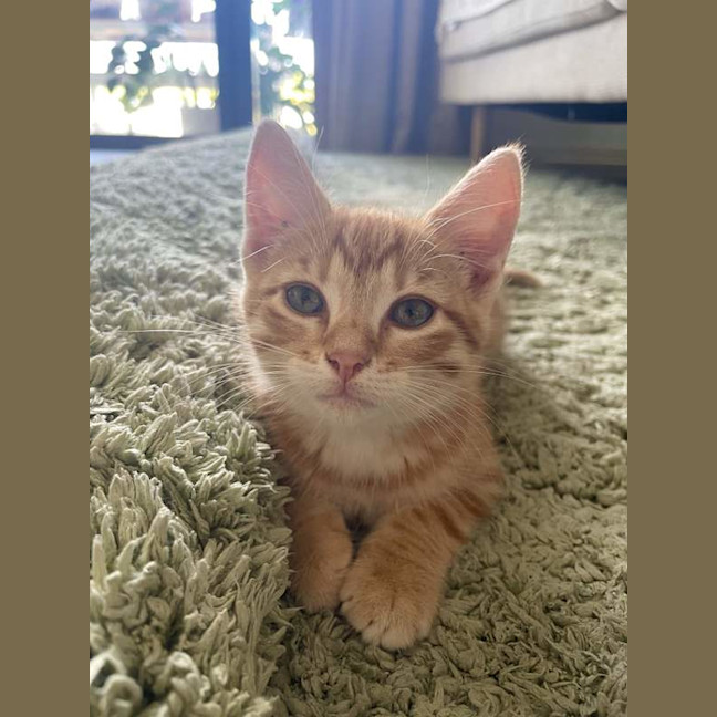 Photo of Aelin