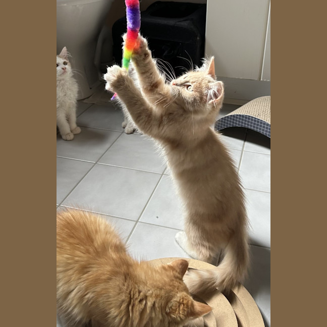 Photo of Trevor 💙