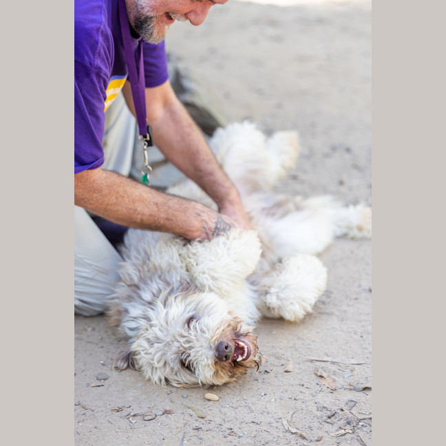 Photo of Benji