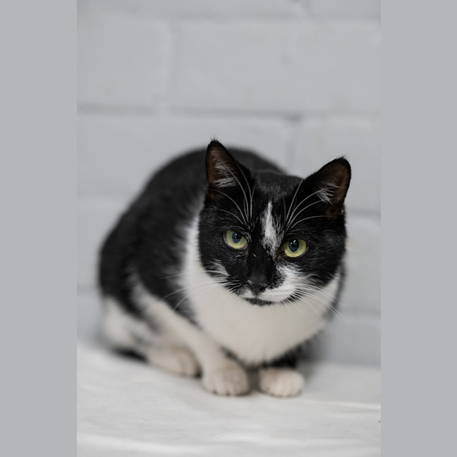 Photo of Morticia