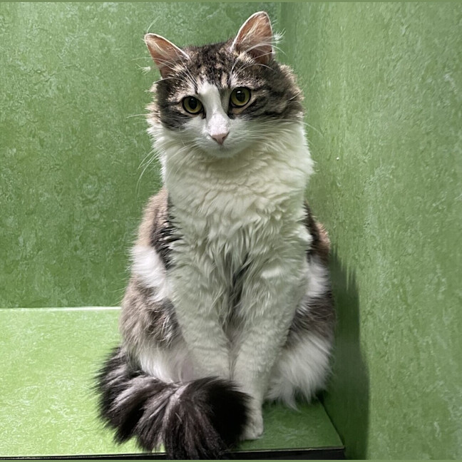 Photo of Mimi
