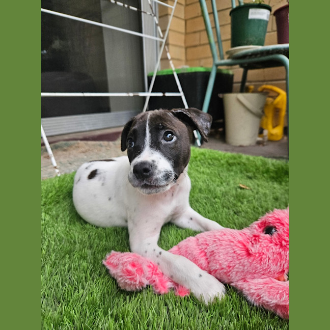 Photo of Dorothy Anne