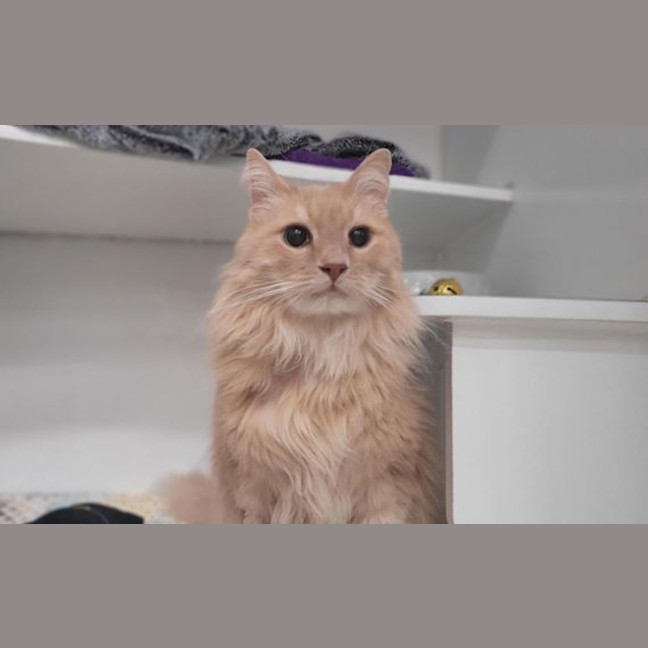 Photo of William