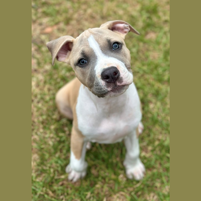 Photo of Phoebe