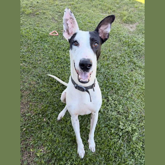 Photo of Aero