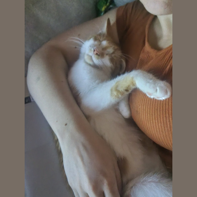 Photo of Rastus