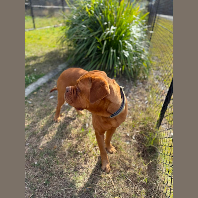 Photo of Lilly (7072)