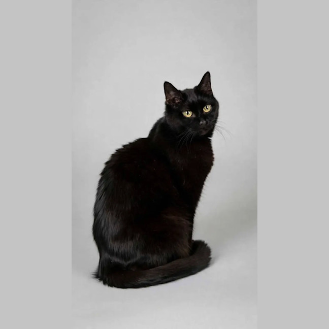 Photo of Mabel 