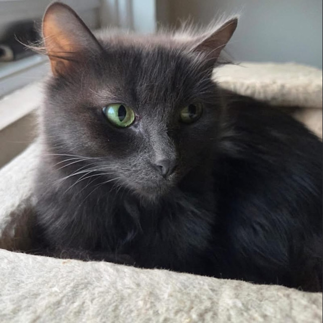Photo of Alley