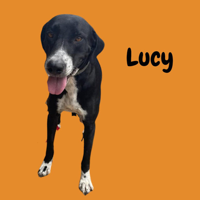 Photo of Lucy