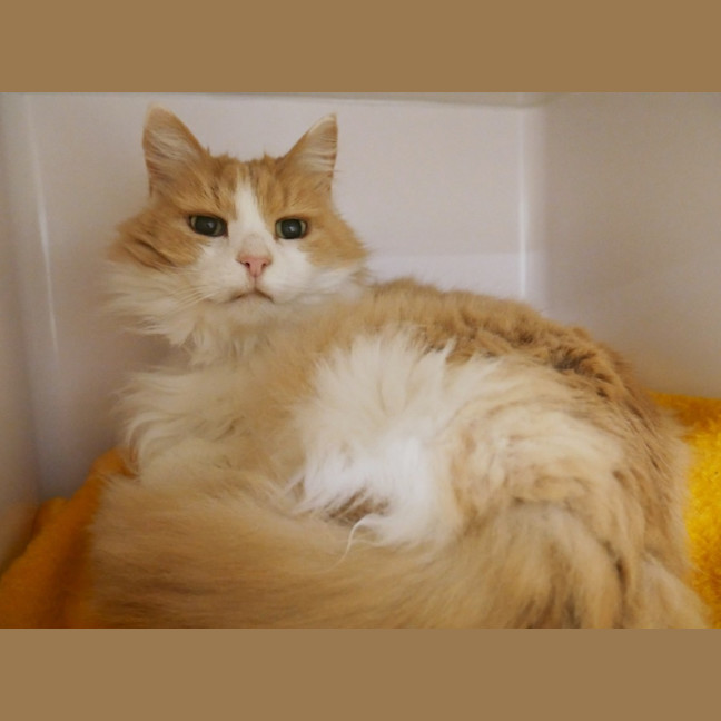 Photo of Bella Sua014188