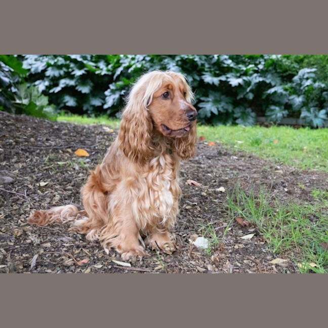 Photo of Cookie Dumont