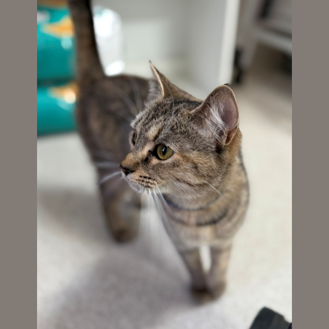 Photo of Sally Field (9004)