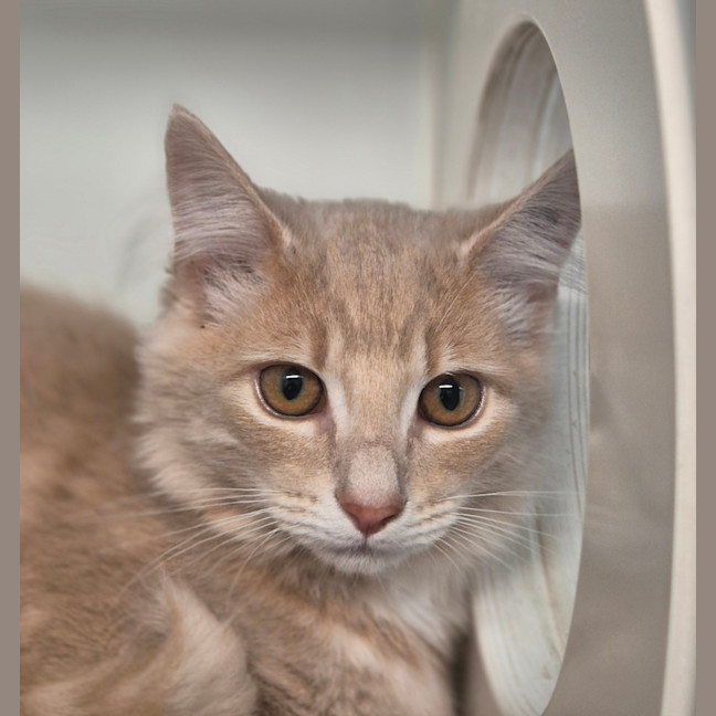 Photo of Monte Carlo